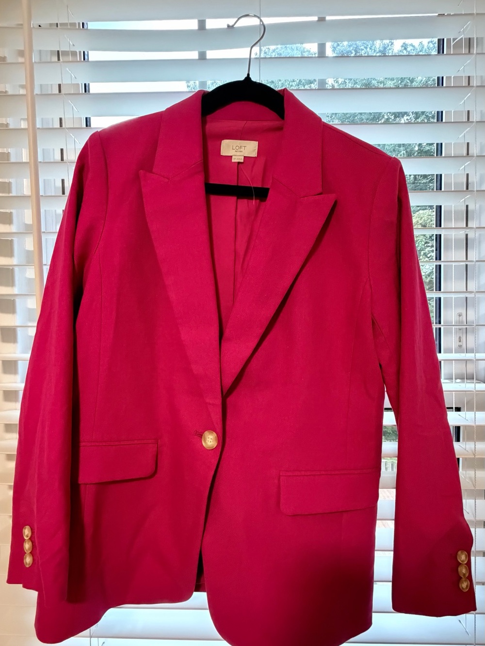 LOFT Hot Pink Single-Button Blazer with Gold Buttons
